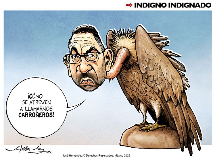 Indigno indignado